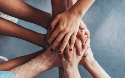 Successful Steps moving forward